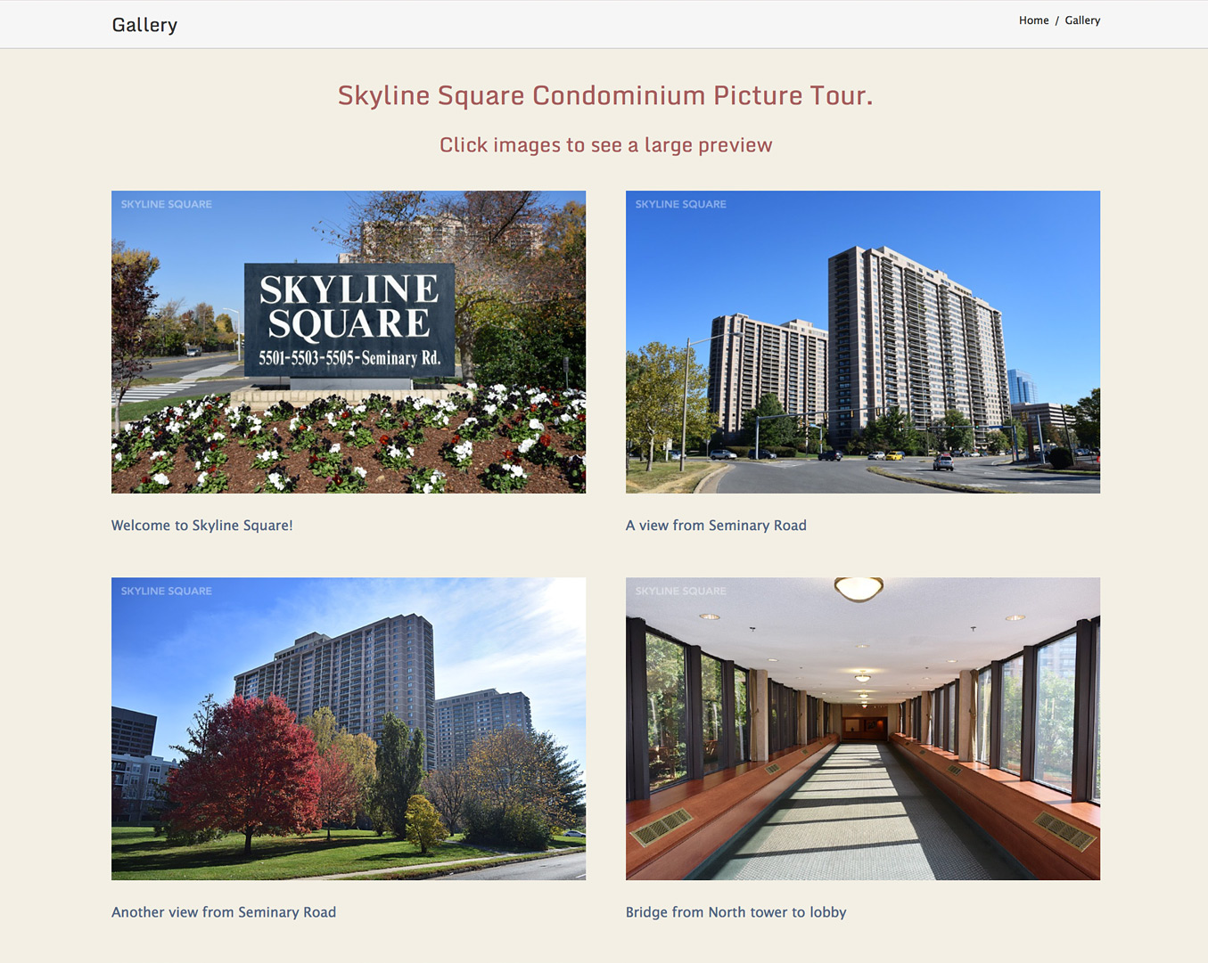 Skyline Square Condominium